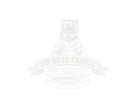 Pin - Mr Bear Logo
